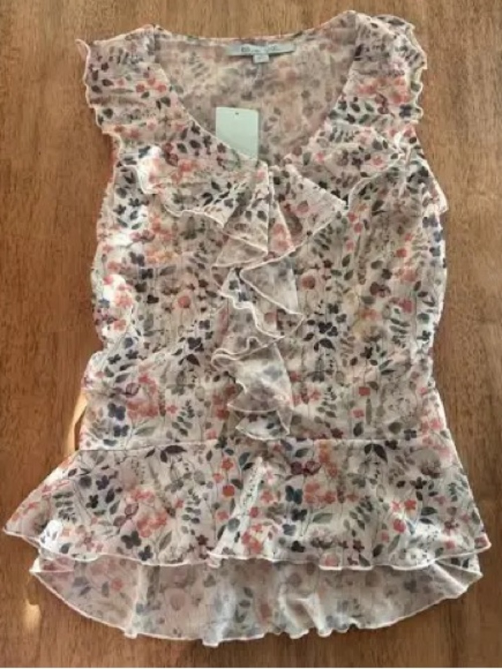 Blue Sol: medium, Ruffle Sheer Blouse in Soft Pastels